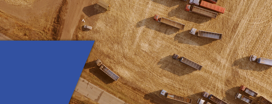 What Are The Types Of CDLs?